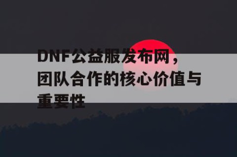 DNF公益服发布网，团队合作的核心价值与重要性