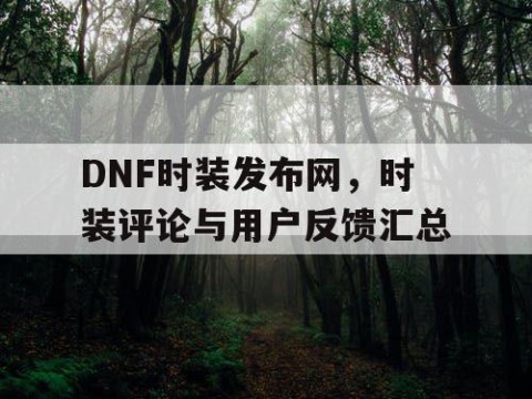 DNF时装发布网，时装评论与用户反馈汇总