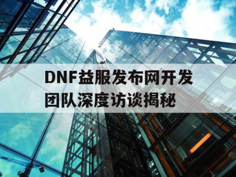 DNF益服发布网开发团队深度访谈揭秘