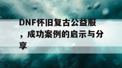 DNF怀旧复古公益服，成功案例的启示与分享