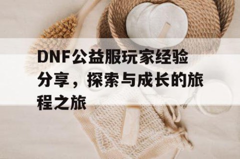 DNF公益服玩家经验分享，探索与成长的旅程之旅