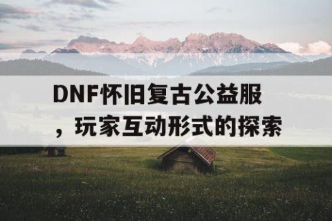 DNF怀旧复古公益服，玩家互动形式的探索