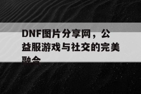 DNF图片分享网，公益服游戏与社交的完美融合