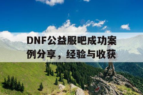 DNF公益服吧成功案例分享，经验与收获