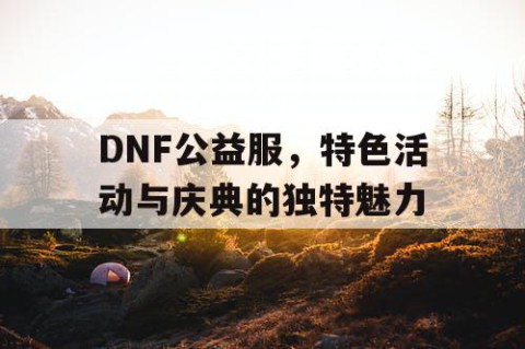 DNF公益服，特色活动与庆典的独特魅力