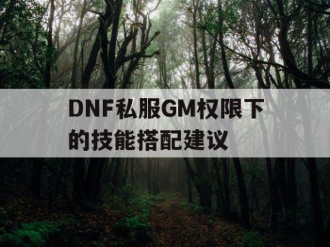 DNF私服GM权限下的技能搭配建议