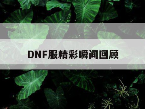 DNF服精彩瞬间回顾