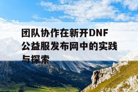 团队协作在新开DNF公益服发布网中的实践与探索