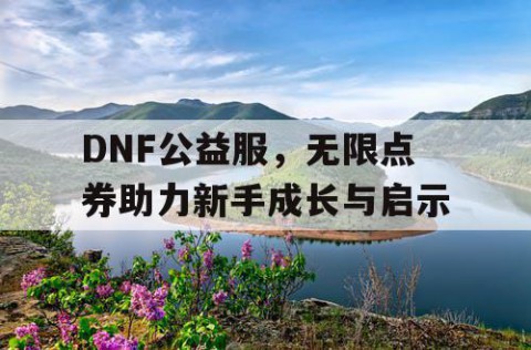 DNF公益服，无限点券助力新手成长与启示