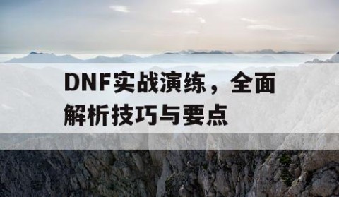 DNF实战演练，全面解析技巧与要点