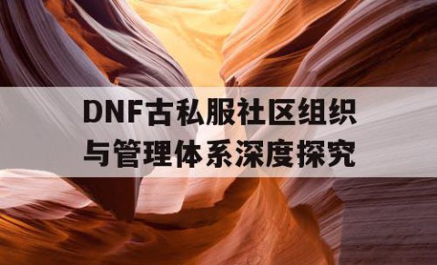 DNF古私服社区组织与管理体系深度探究