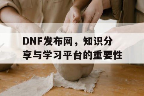 DNF发布网，知识分享与学习平台的重要性