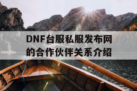 DNF台服私服发布网的合作伙伴关系介绍