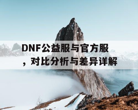 DNF公益服与官方服，对比分析与差异详解