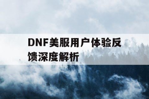 DNF美服用户体验反馈深度解析