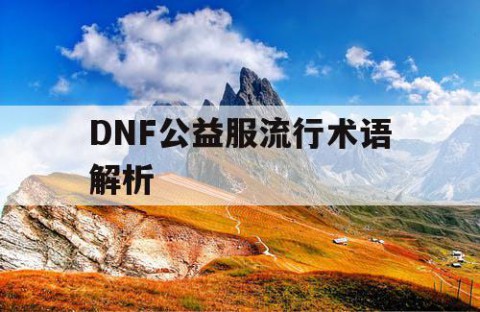 DNF公益服流行术语解析