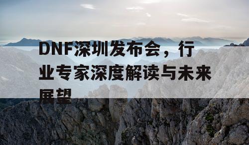 DNF深圳发布会，行业专家深度解读与未来展望