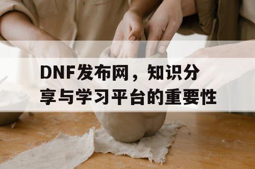 DNF发布网，知识分享与学习平台的重要性