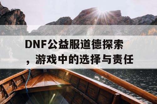 DNF公益服道德探索	，游戏中的选择与责任