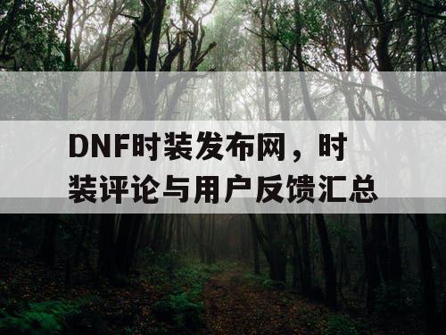 DNF时装发布网	，时装评论与用户反馈汇总