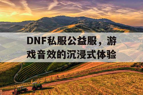 DNF私服公益服	，游戏音效的沉浸式体验