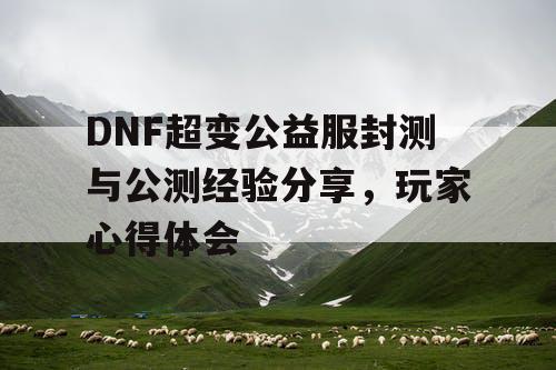 DNF超变公益服封测与公测经验分享	，玩家心得体会