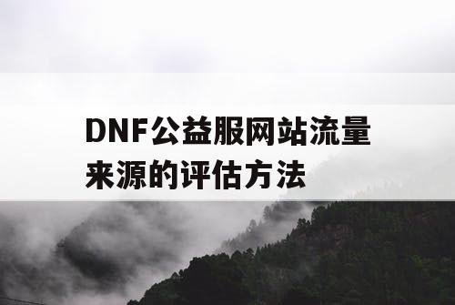 DNF公益服网站流量来源的评估方法