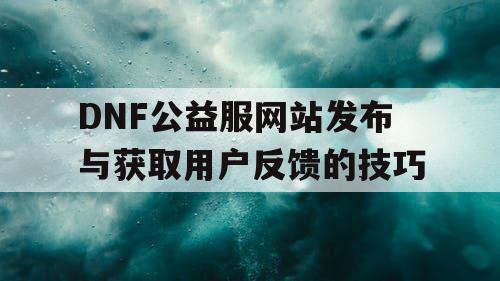 DNF公益服网站发布与获取用户反馈的技巧