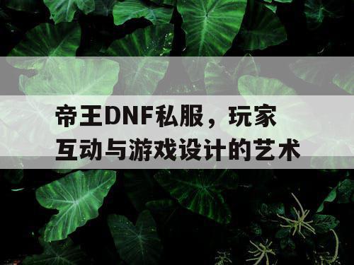 帝王DNF私服，玩家互动与游戏设计的艺术