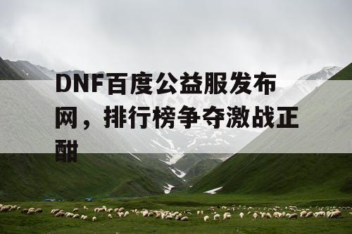 DNF百度公益服发布网	，排行榜争夺激战正酣