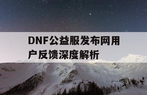 DNF公益服发布网用户反馈深度解析