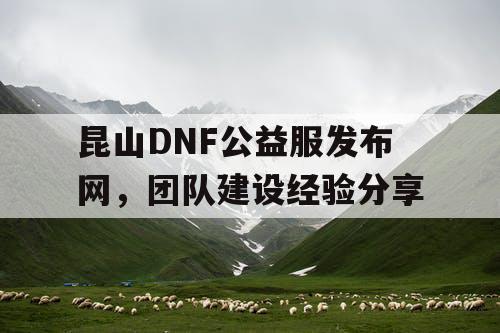 昆山DNF公益服发布网，团队建设经验分享