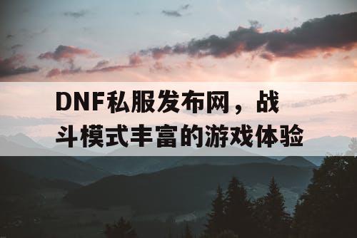 DNF私服发布网	，战斗模式丰富的游戏体验