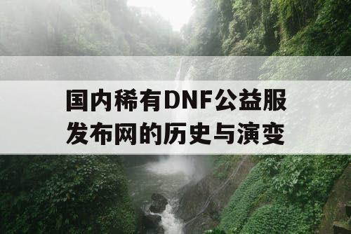 国内稀有DNF公益服发布网的历史与演变