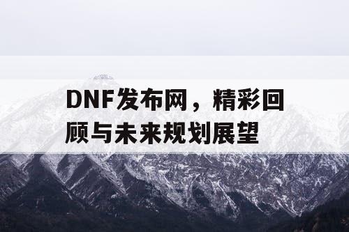 DNF发布网，精彩回顾与未来规划展望