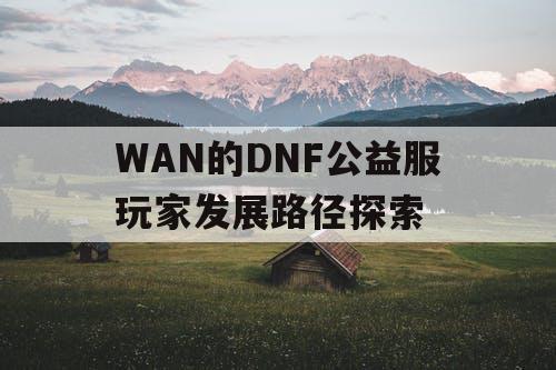 WAN的DNF公益服玩家发展路径探索