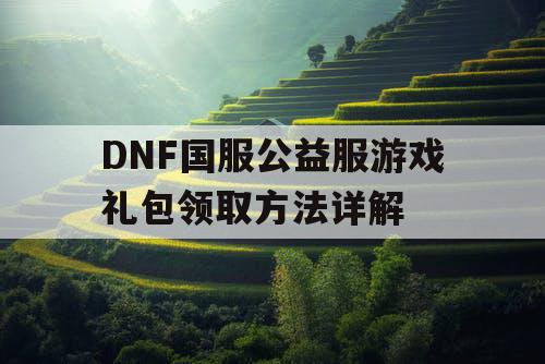 DNF国服公益服游戏礼包领取方法详解