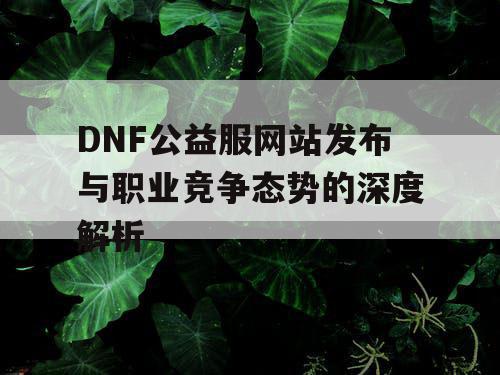 DNF公益服网站发布与职业竞争态势的深度解析