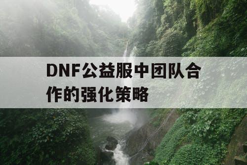 DNF公益服中团队合作的强化策略