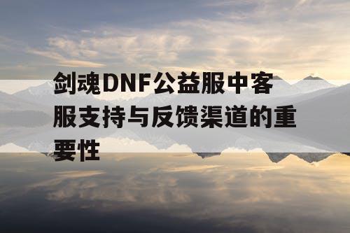 剑魂DNF公益服中客服支持与反馈渠道的重要性