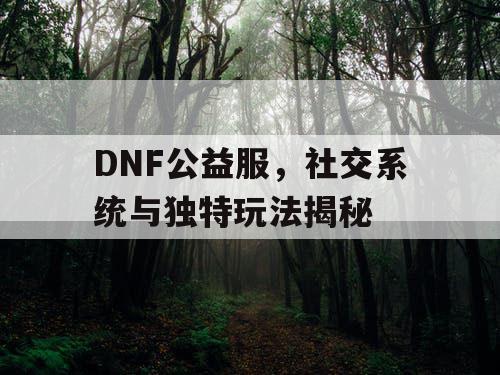 DNF公益服	，社交系统与独特玩法揭秘