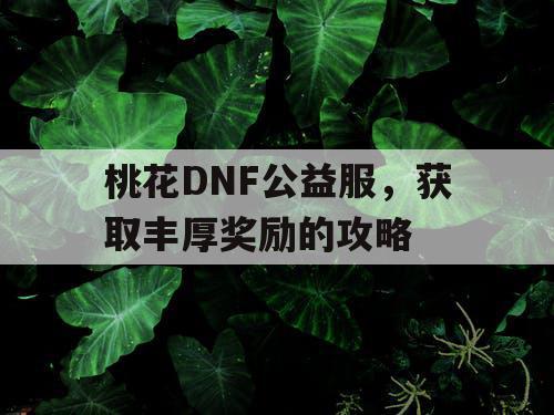 桃花DNF公益服，获取丰厚奖励的攻略