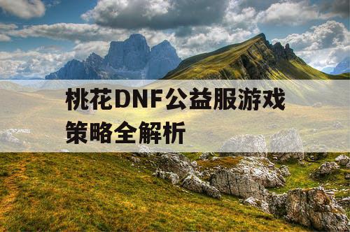 桃花DNF公益服游戏策略全解析