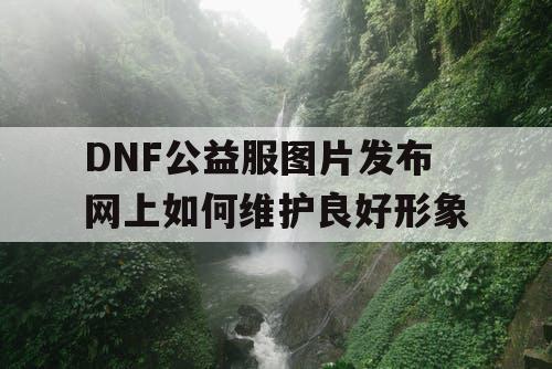 DNF公益服图片发布网上如何维护良好形象