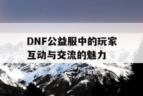 DNF公益服中的玩家互动与交流的魅力