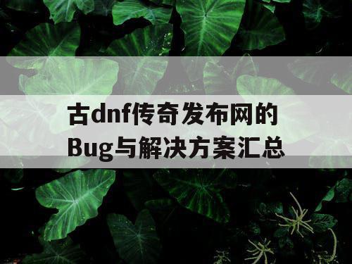 古dnf传奇发布网的Bug与解决方案汇总