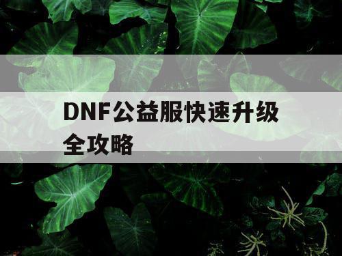 DNF公益服快速升级全攻略