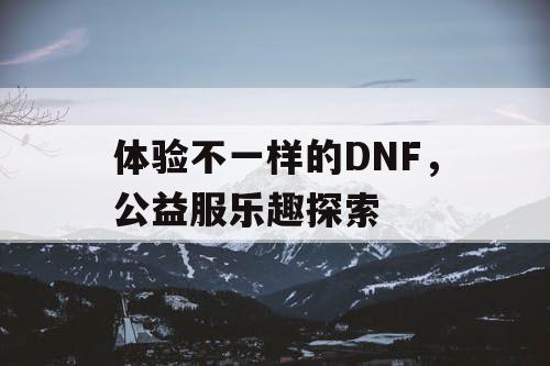 体验不一样的DNF，公益服乐趣探索