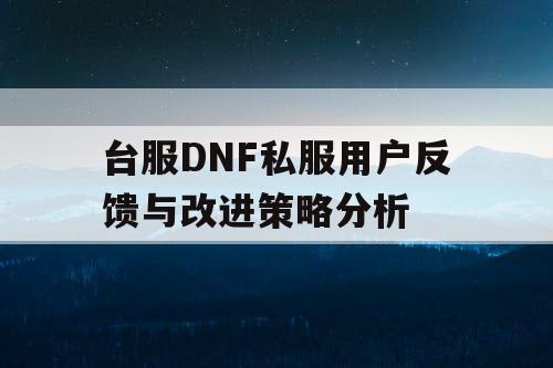 台服DNF私服用户反馈与改进策略分析