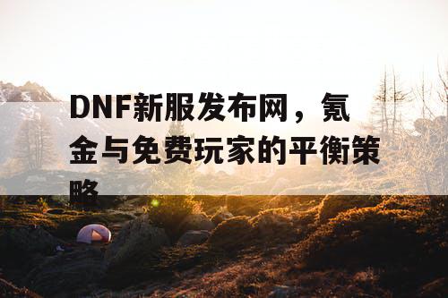 DNF新服发布网，氪金与免费玩家的平衡策略